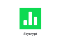 The SkyCrypt Project Offers An Easy Way For Players To Share Their Profiles With Friends And Family. SkyCrypt main image