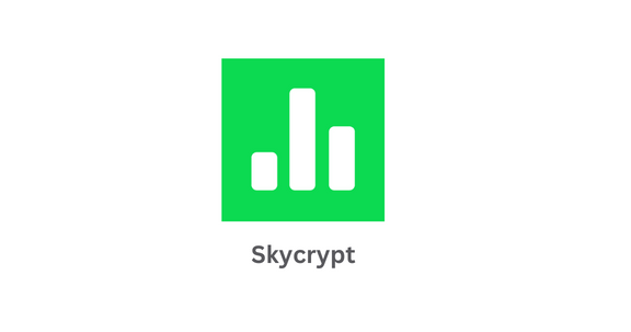 The SkyCrypt Project Offers An Easy Way For Players To Share Their Profiles With Friends And Family. SkyCrypt main image